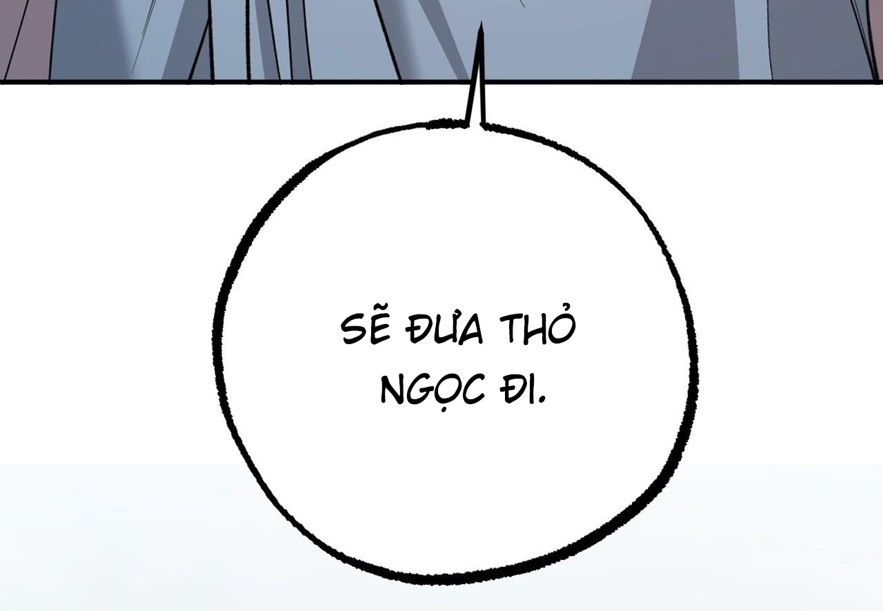 đàn thỏ của habibi chapter 62 5