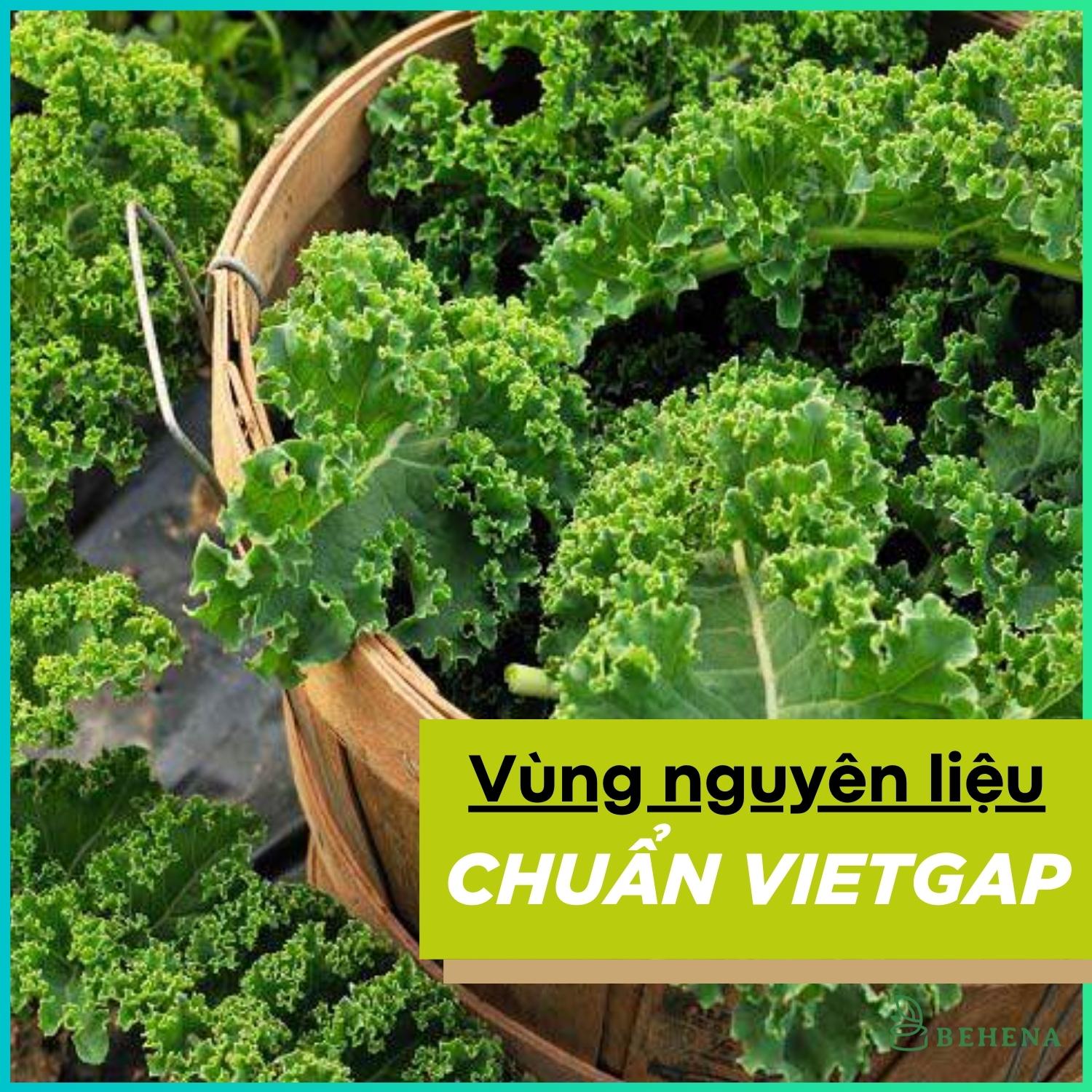 Bột rau cải xoăn kale Behena hữu cơ sấy lạnh nguyên chất cho bé ăn dặm hộp 50g