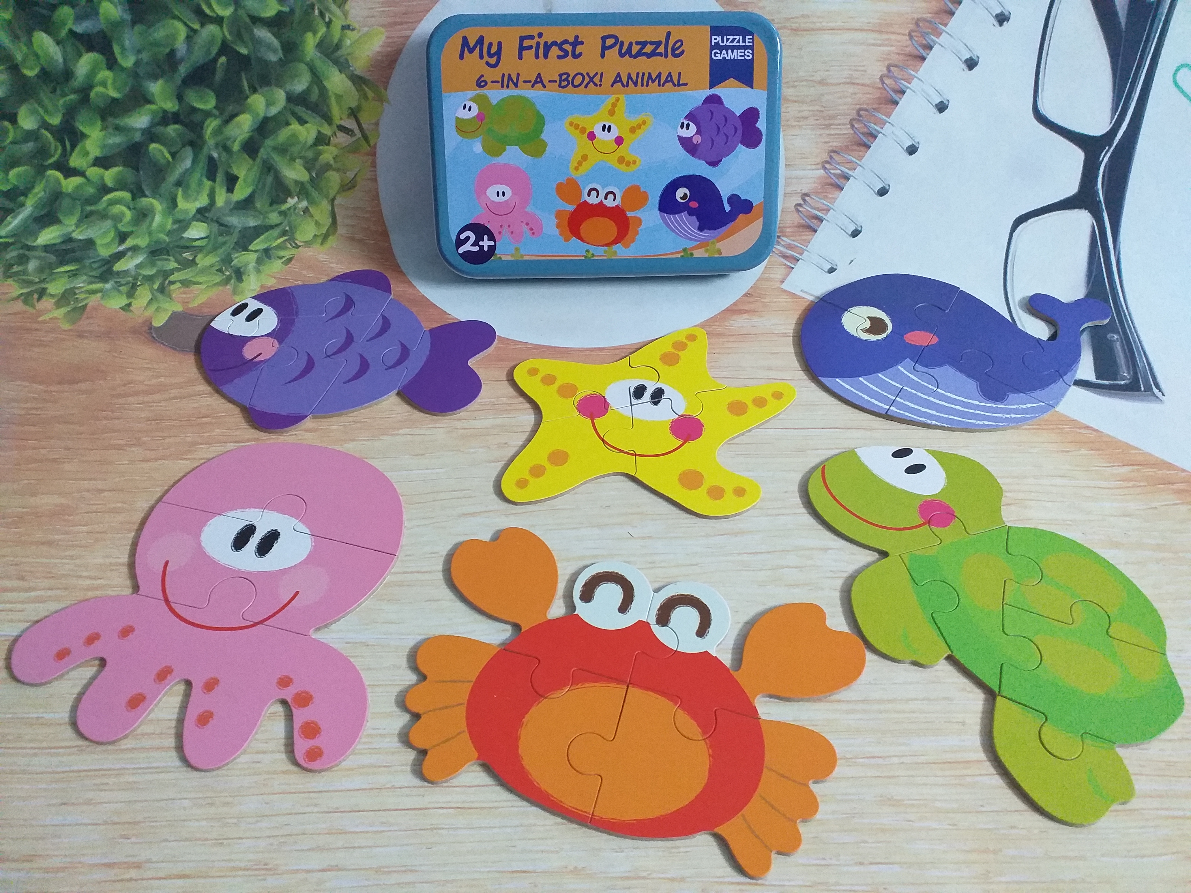 Đồ chơi gỗ - Combo 5 Hộp ghép hình My first Puzzle