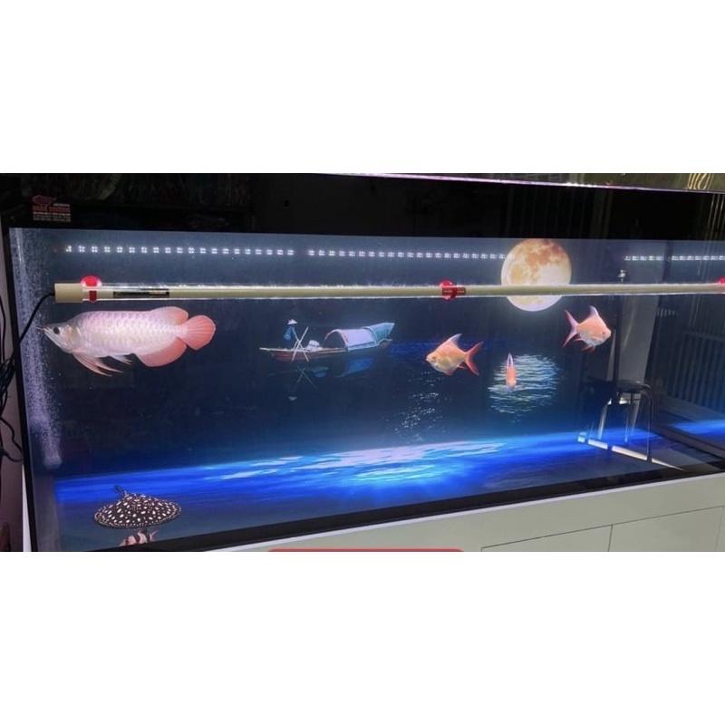 ĐÈN LED MAYIN 2 CHẾ ĐỘ CHUYÊN DỤNG CHO HUYẾT LONG