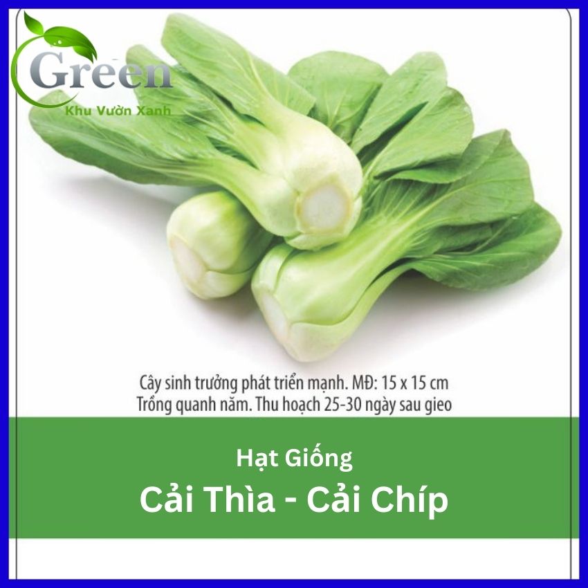 Hạt Giống Cải Thìa  20 Gam