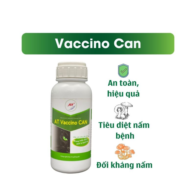 Chế Phẩm Trừ Nấm Bệnh Sinh Học Phổ Rộng Trị Bệnh Thối Rễ, Thối Thân, Nấm Quả, Thán Thư, Sương Mai- Vaccino Can 500ml