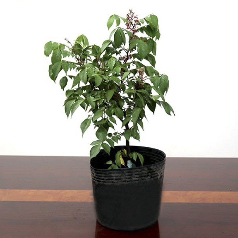 10 Chậu 40X32X32cm nhựa PE dẻo trồng cây bền từ 5 đến 10 năm-77112