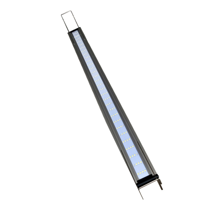 Đèn led màu màu cá Huyết Long dành cho hồ từ 1m đến 1m2