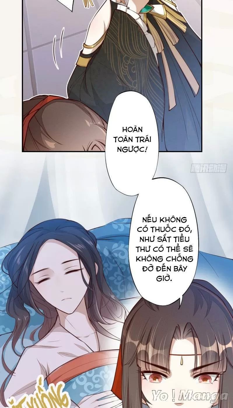 tuyệt thế luyện đan sư chapter 64 11