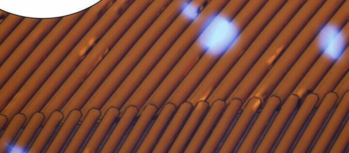 bí mật của dạ tộc chapter 7.1 73