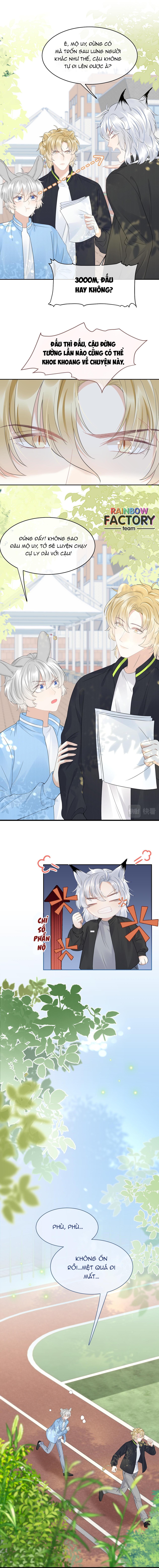 ăn một bé thỏ chapter 43 1