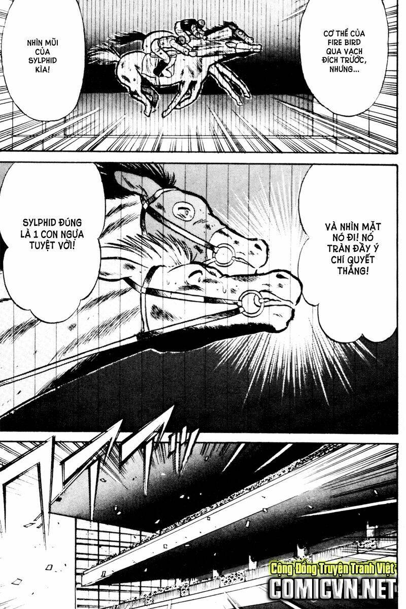 kaze no sylphid - phong mã silphid chapter 15 19