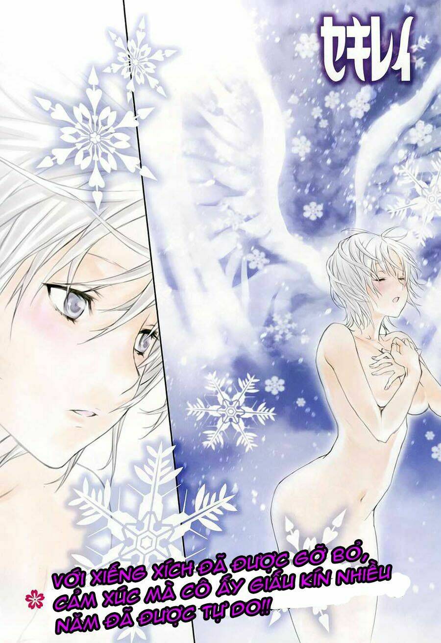 sekirei chapter 155 1