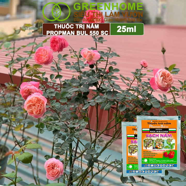 Thuốc Trị Nấm Cây Trồng Greenhome, Propman Bul 550sc, Gói 25ml, Trừ Đốm Lá Hoa Hồng, Cây Ăn Quả