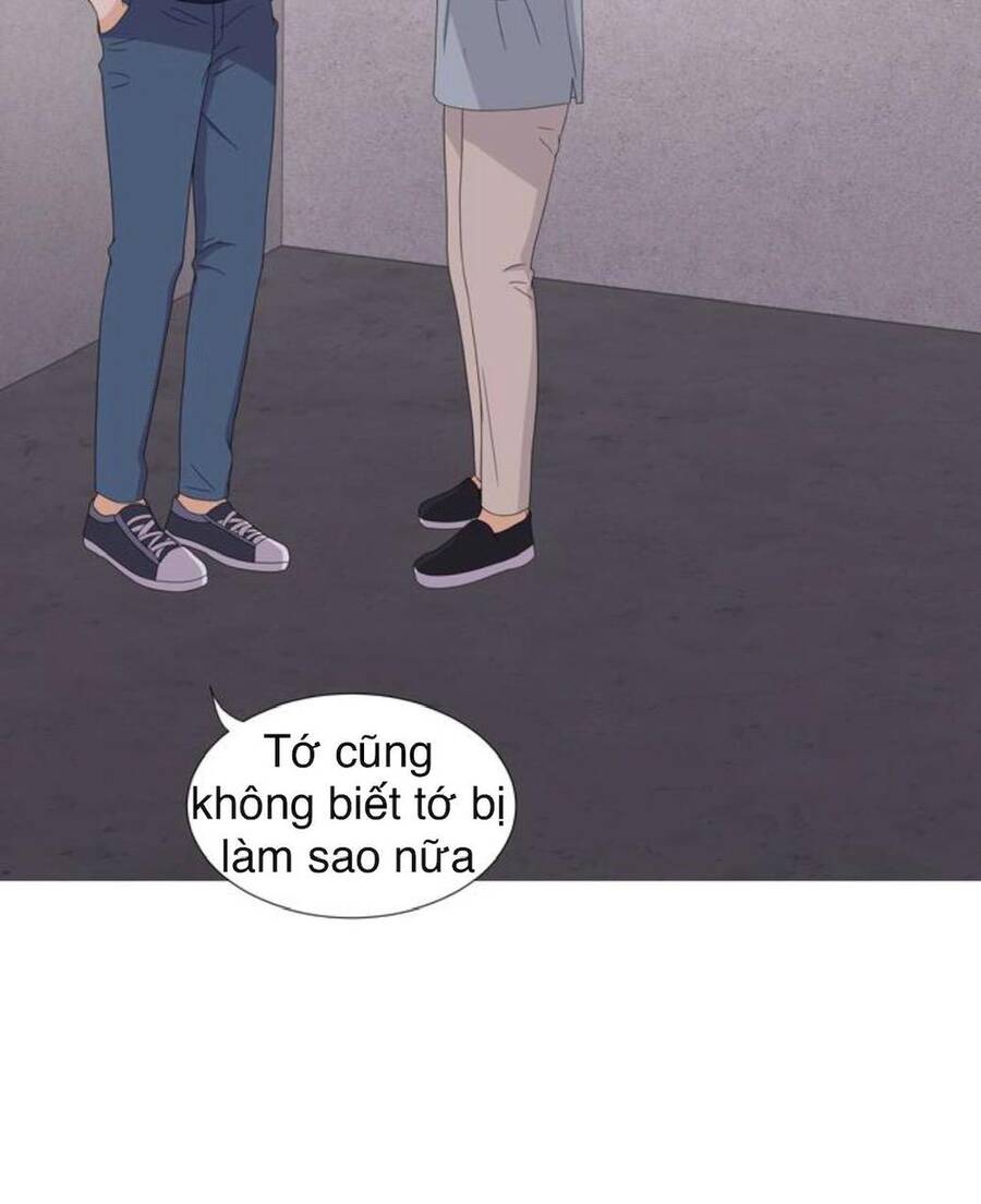 idol và sếp, em yêu ai? chapter 42 8