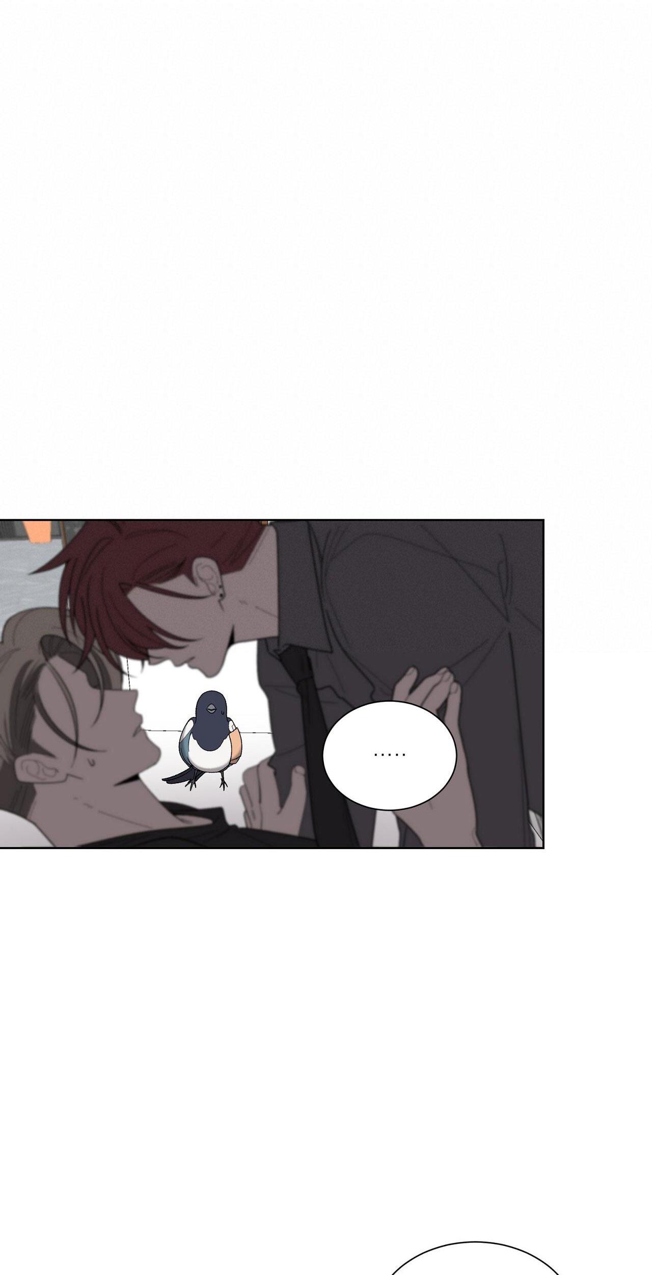 khi chim thước đến chapter 19 48