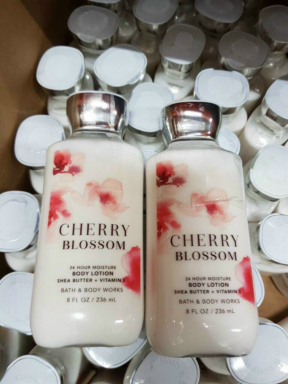 Sữa dưỡng thể Cherry Blossom - B&amp;B Works -hoa anh đào(236ml) ( không có tem phụ)