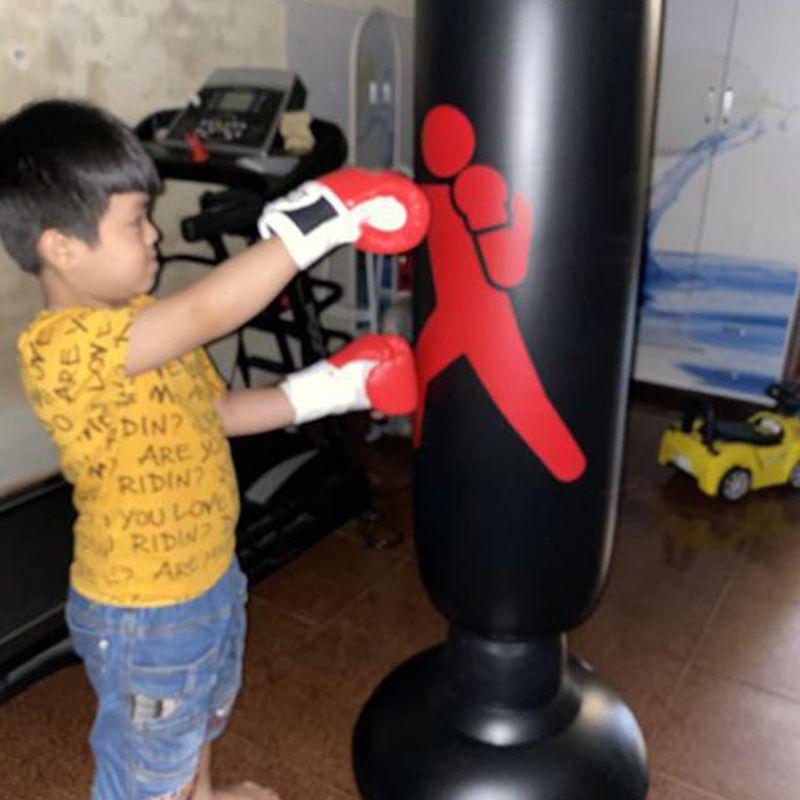 Bao cát võ thuật ,trụ hơi đấm bốc