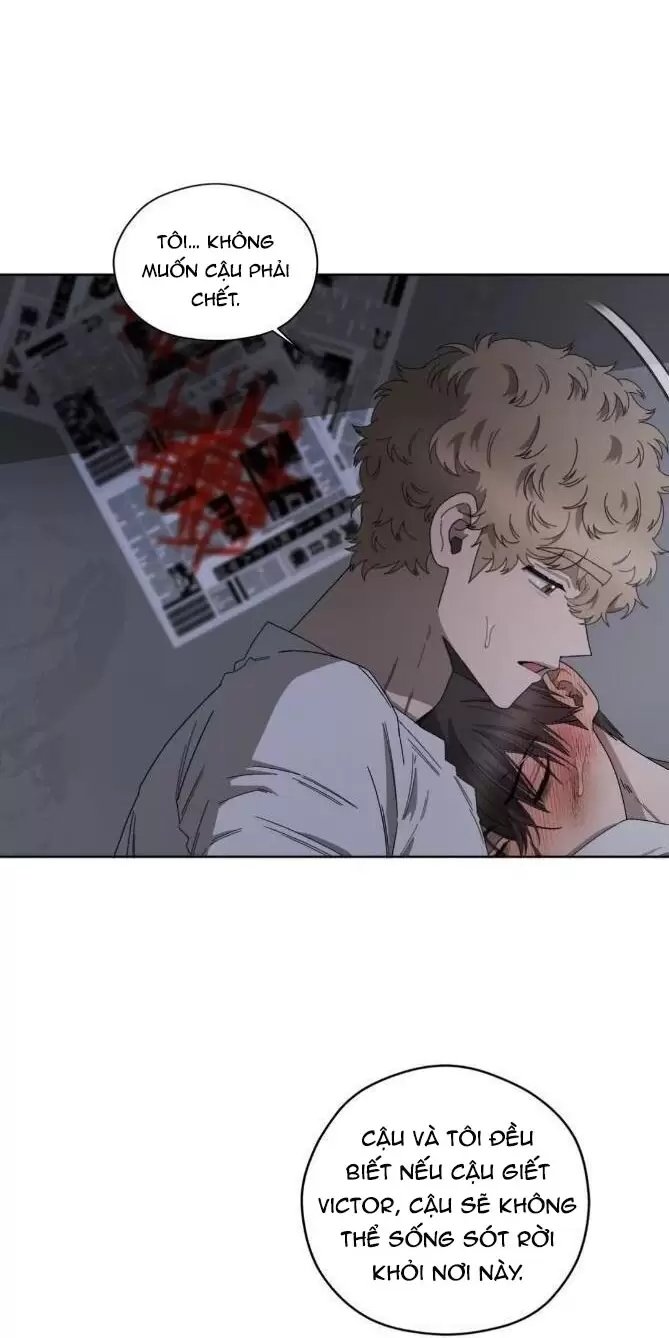 liveta chapter 37 28