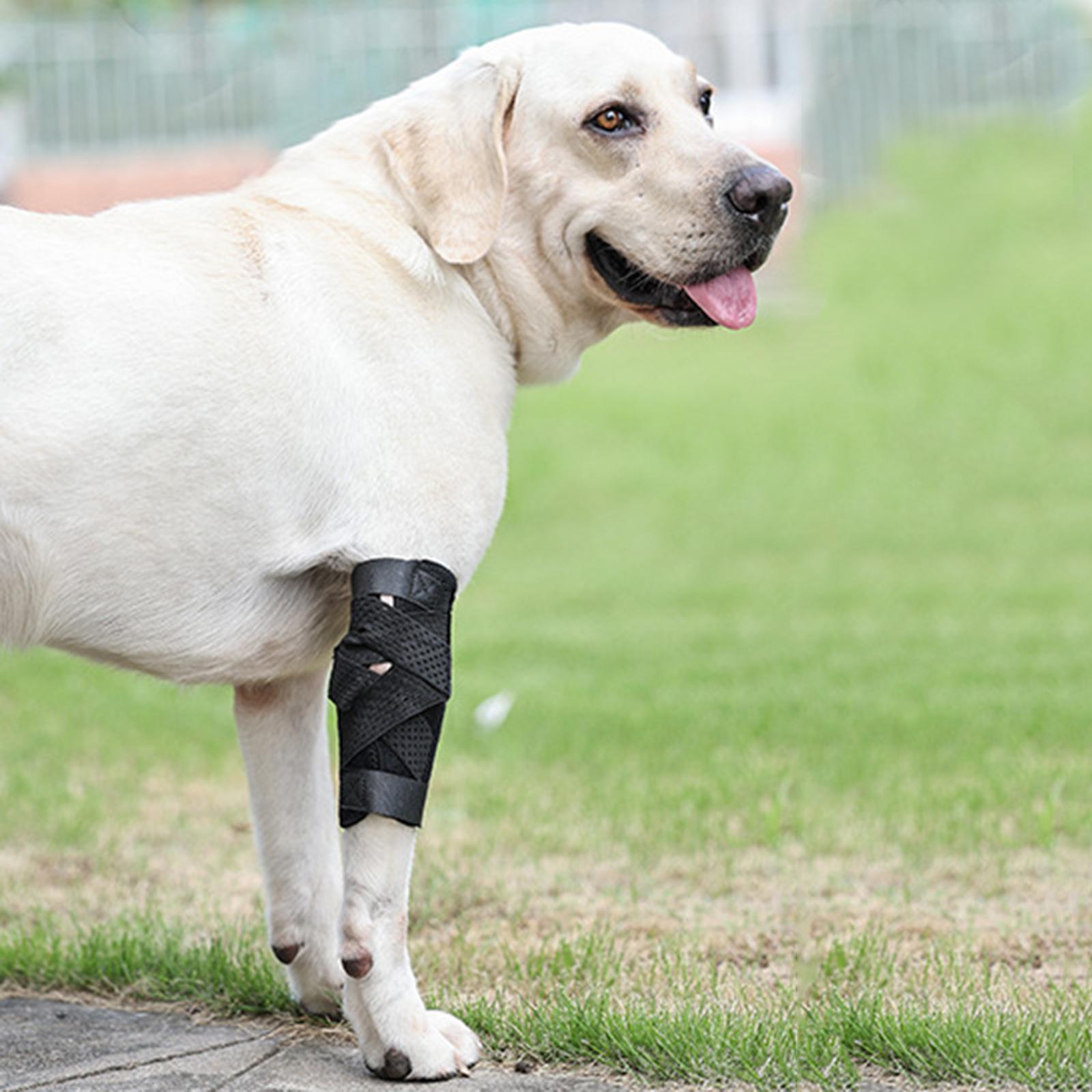 Dog Leg Brace Support Hock Joint Sleeve for Loss of Stability from
