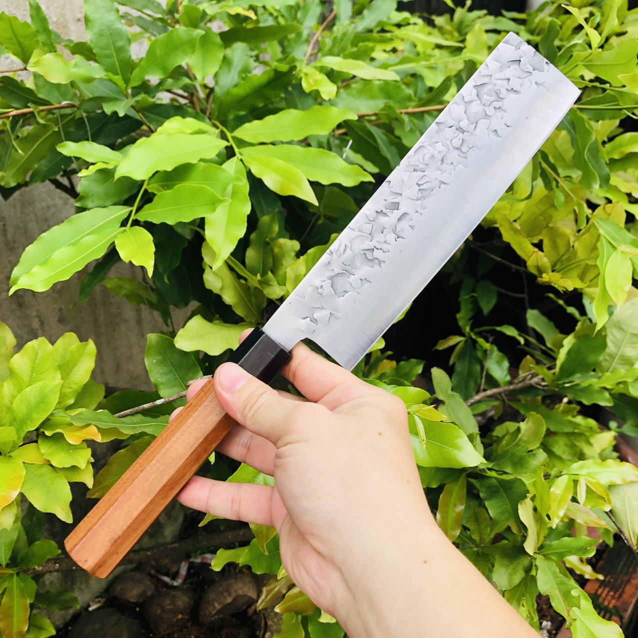 Dao thái lưỡi hình chữ nhật Akatenki Nhật dài 32cm, dày 2.5ly, cán gỗ tự nhiên rất sắc bén