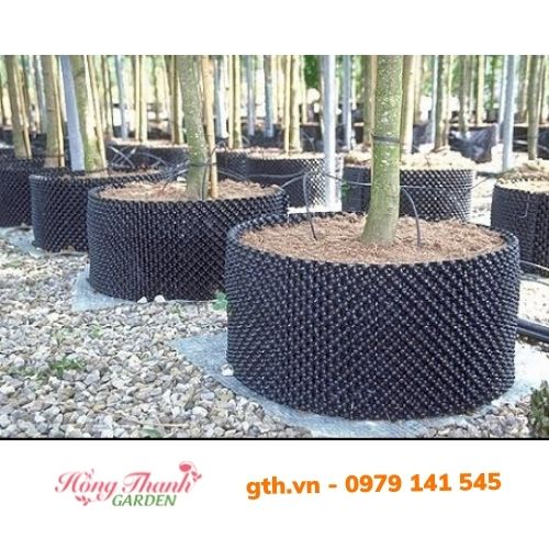 Bầu Ươm Cây V6, Bầu Ươm Thông Minh Cao 20cm đến 1m