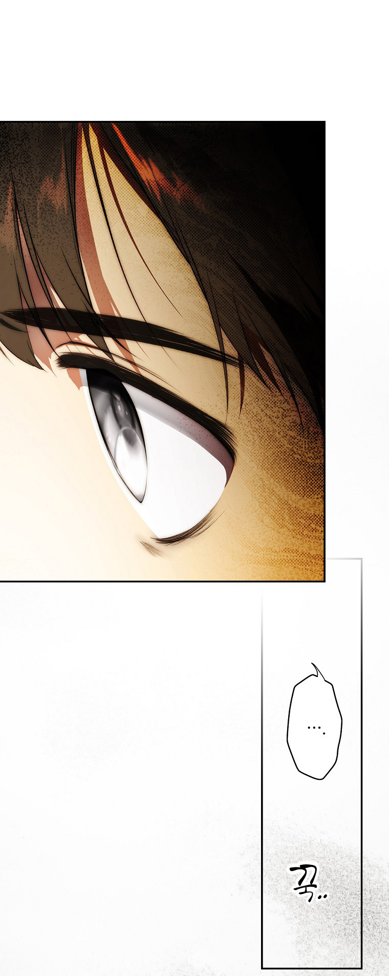 quý cô bí ẩn - secret lady chapter 79.1 27