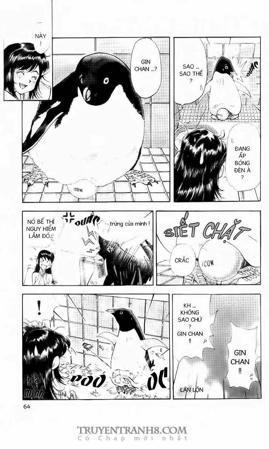 chim cánh cụt ginji chapter 56 7