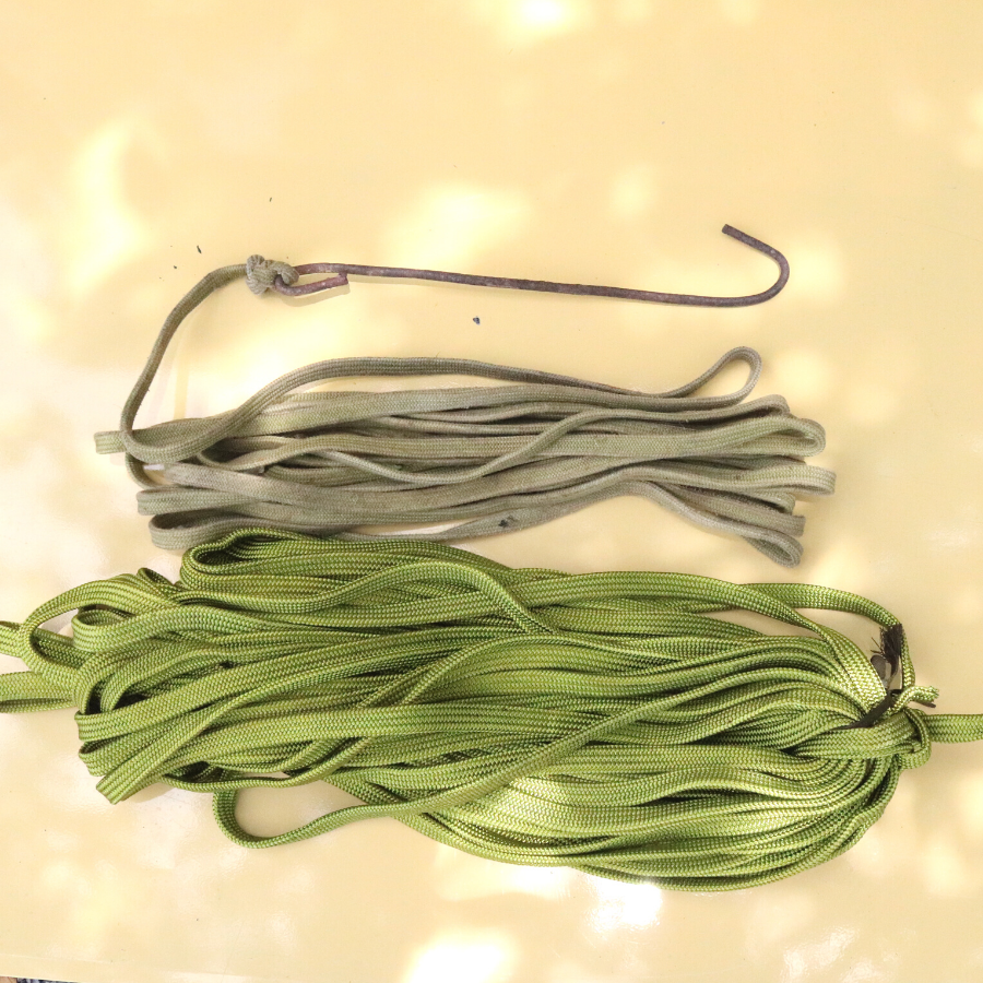 Dây dù xanh, dây hạ dừa