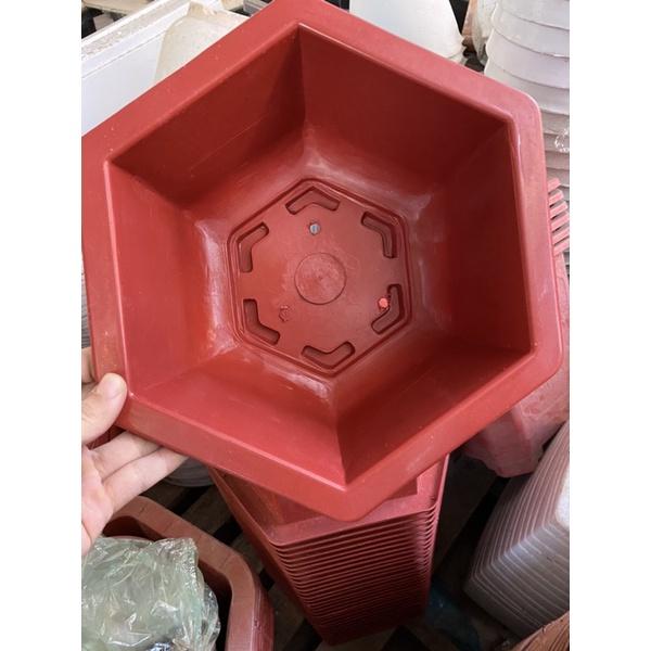 Chậu nhựa lục giác đỏ khắc chữ dày đẹp