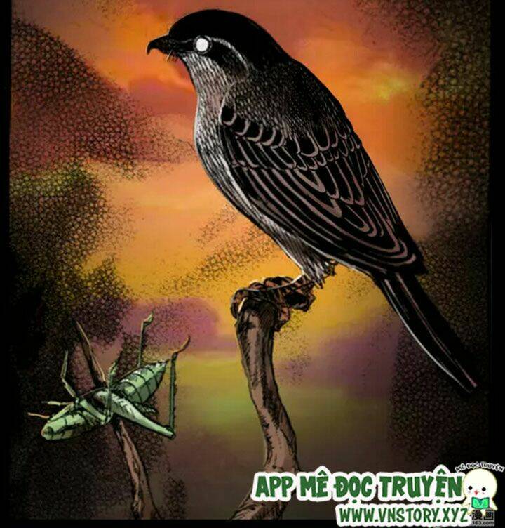 U Minh Ngụy Tượng Chapter 38 2