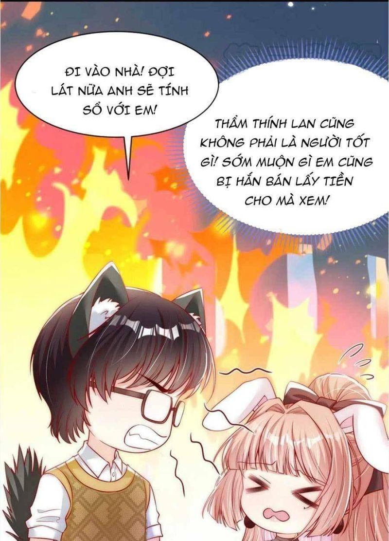 tôi được năm đại lão chiều chuộng hết nấc chapter 47 21