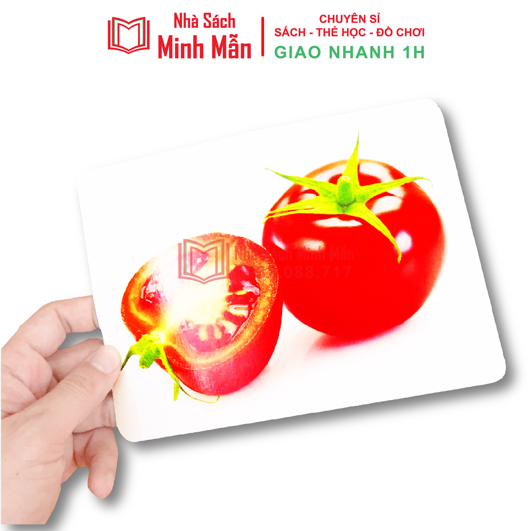 Bộ Thẻ Học Thông Minh 14 Chủ Đề loại To Song Ngữ Tiếng Anh Loại Chuẩn Glenn Doman Flashcard Cho Bé Từ 0-6 Tuổi