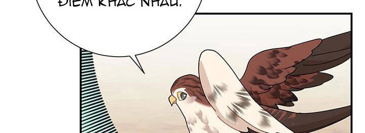 công chúa của loài chim chapter 49 20