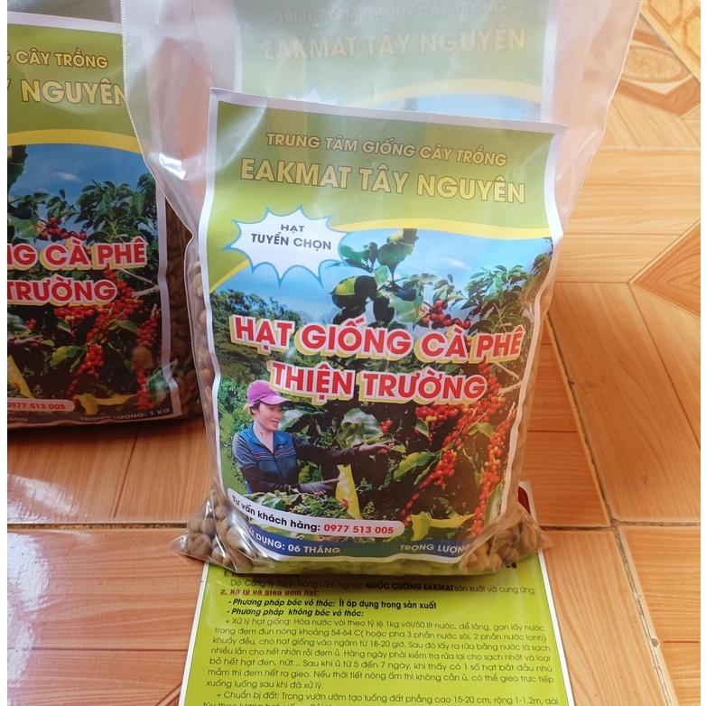 500 gram hạt giống cà phê Thiện Trường