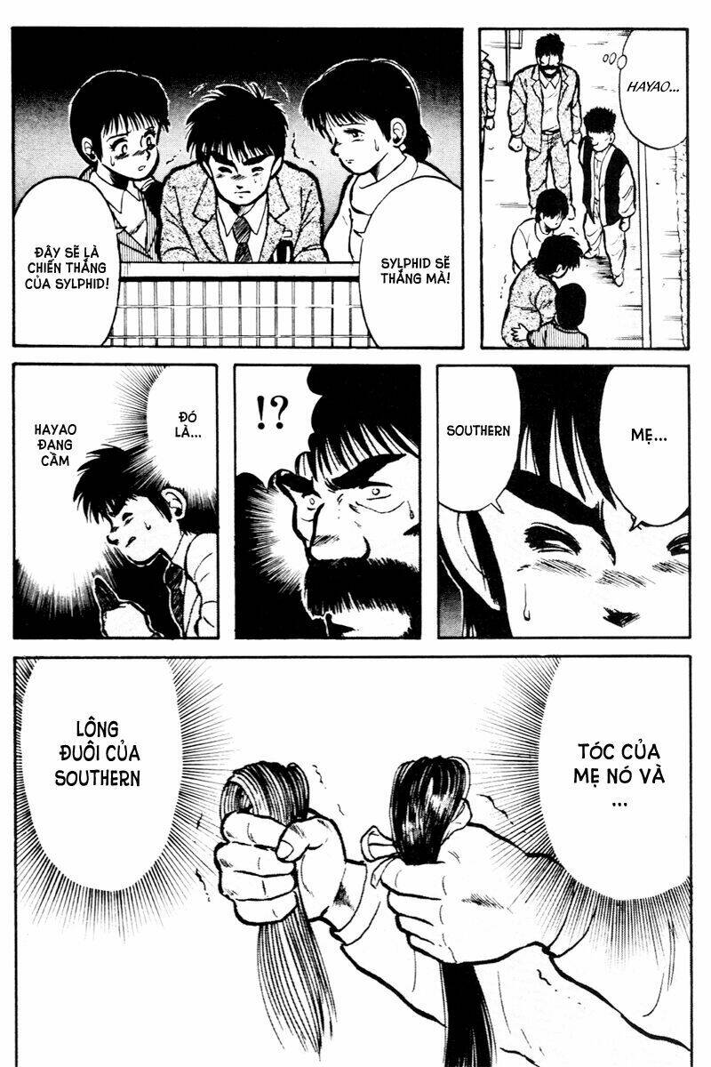 kaze no sylphid - phong mã silphid chapter 15 14
