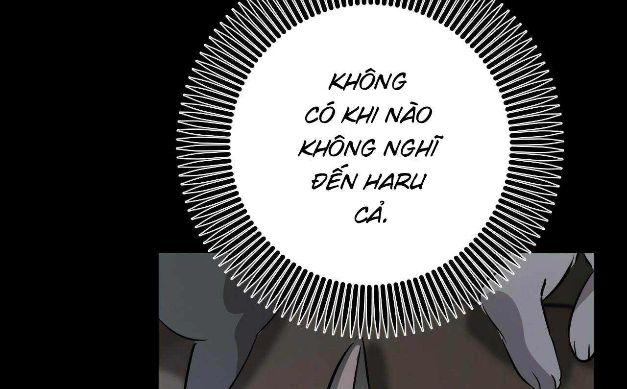những chú thỏ của hapypy chapter 52 25