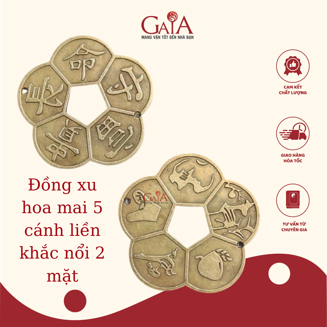 Tiền xu hoa mai 5 cánh liền