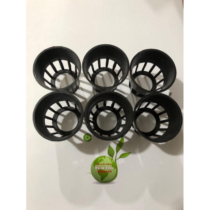 100 chiếc Rọ trồng Lan giống-Lan cấy mô