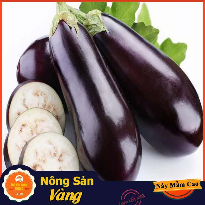 Hạt giống Cà Tím Quả Lê