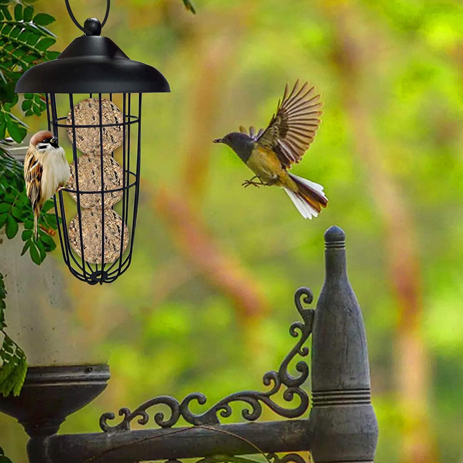 Nụ cười tỏa nắng Treo máng ăn cho chim hoang dã, Dụng cụ đựng thức ăn cho chim, Dụng cụ cho chim ăn, Dụng cụ cho chim ăn, Dụng cụ cho chim treo bóng