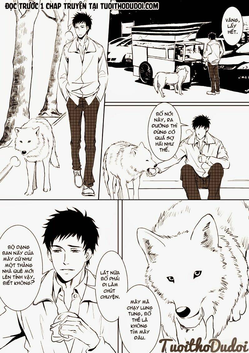 sự mê hoặc của sói chapter 11 7