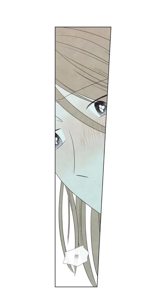 summer solstice point chapter 19 16