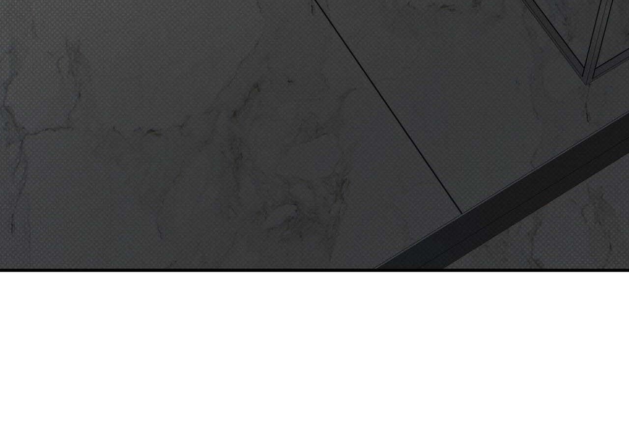 chàng giao pizza và gold palace chapter 41 6