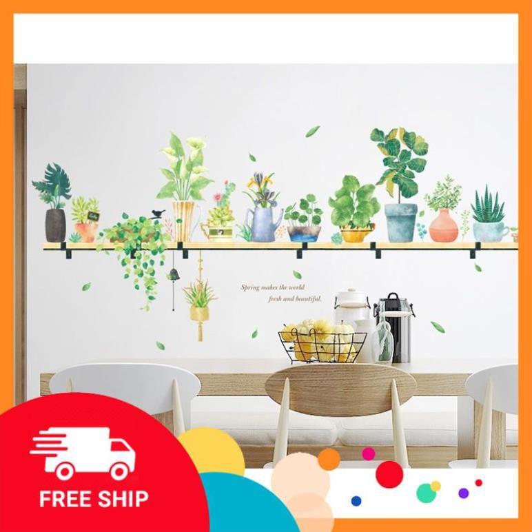 ️️ Decal dán tường 3 tầng chậu cây xanh