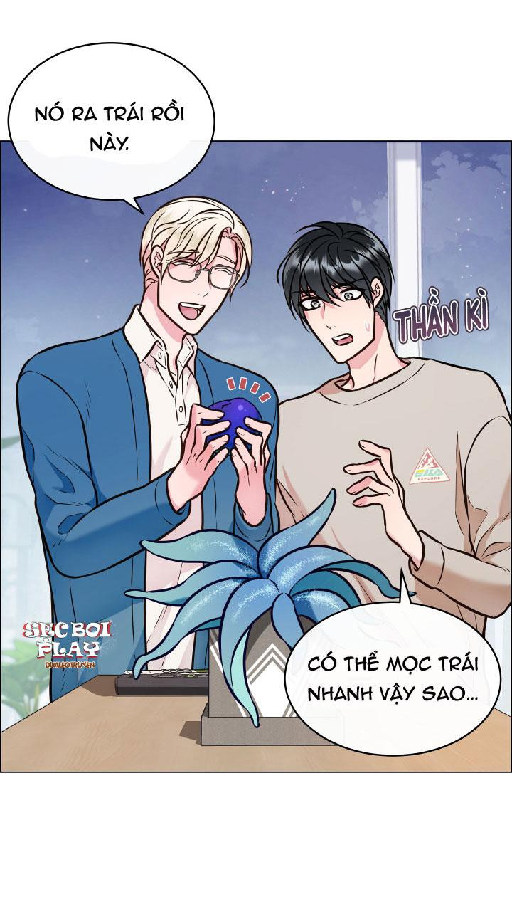 thực vật trị liệu chapter 3 26