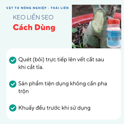 Keo Liền Da Mỹ Tiến 100ml - Keo Liền Sẹo - Phục Hồi Sẹo - Làm Lành Vết Thương - Trị Vết Thương Cây Trồng