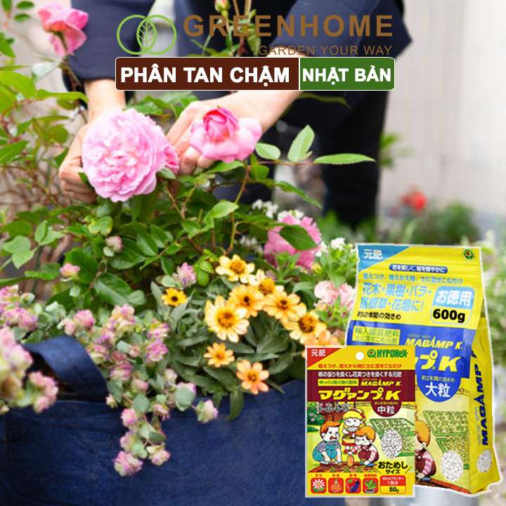 Phân tan chậm Nhật, Hyponex, Magamp K 640-6-15, giúp rễ khoẻ, hoa nhiều, bông to, đậu quả tốt |Greenhome