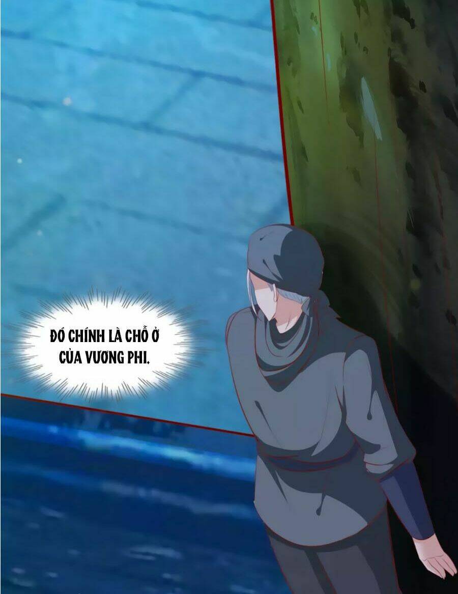 thỏ yêu tiểu vương phi chapter 40 18