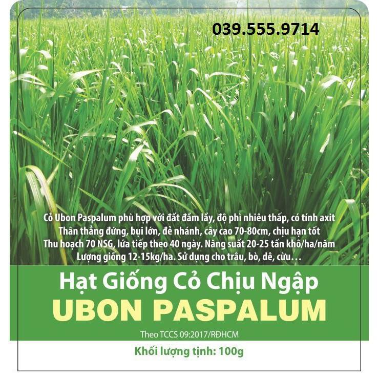 Hạt Cỏ Chăn Nuôi Chịu Ngập Upon Paspalum 200gam