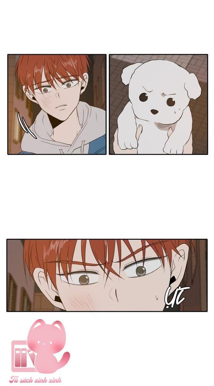 a good day to be a dog chapter 11 12