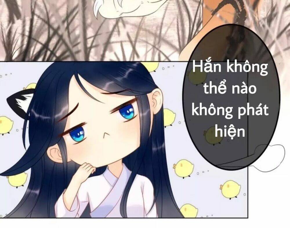 sủng phi của vương chapter 60 8