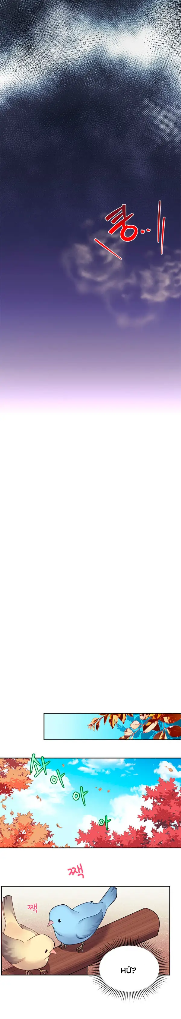 công chúa chim ưng cavier chapter 1.2 3