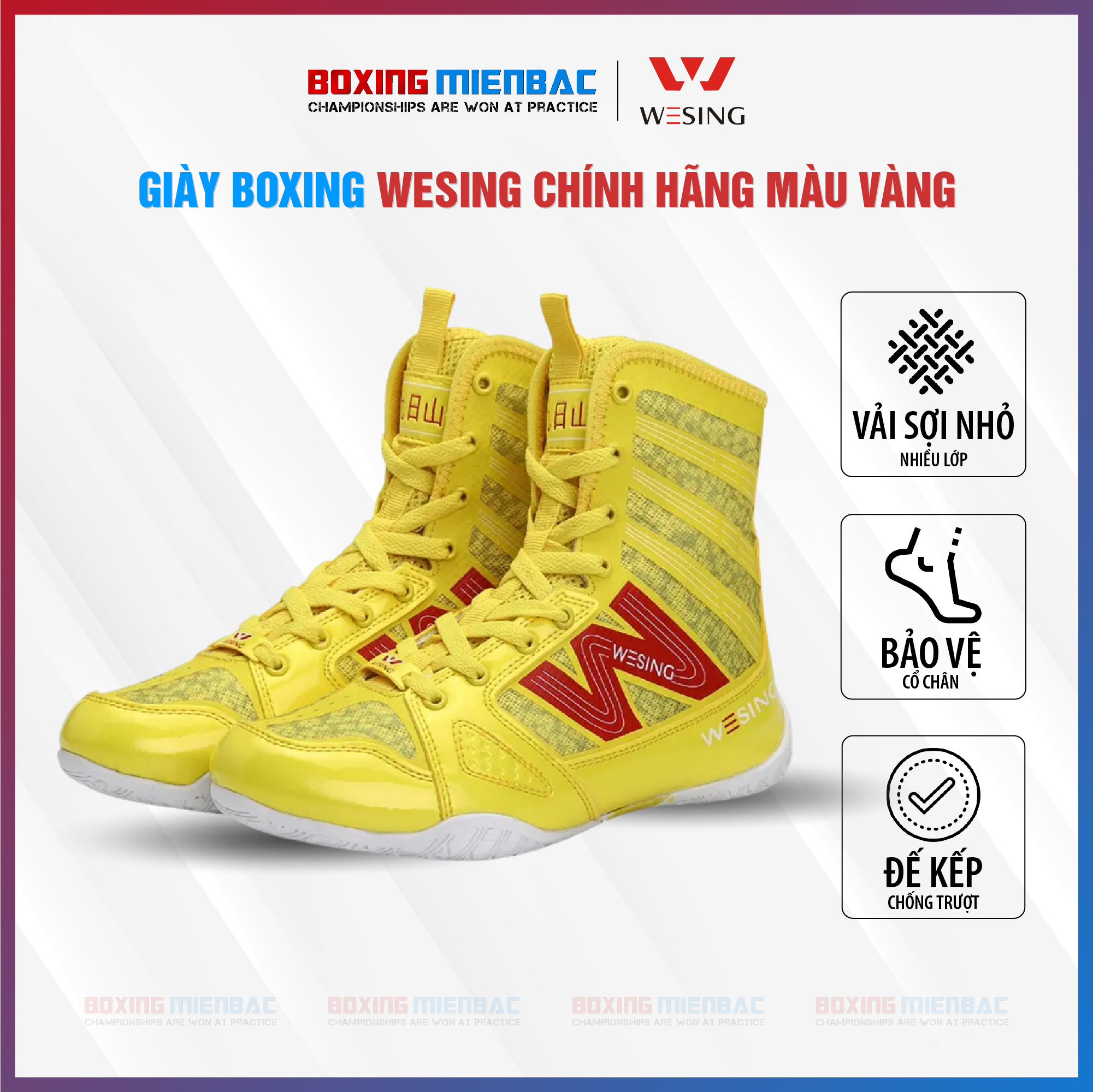 Giày Boxing Wesing - Boxing Shoes Wesing/ Màu Vàng